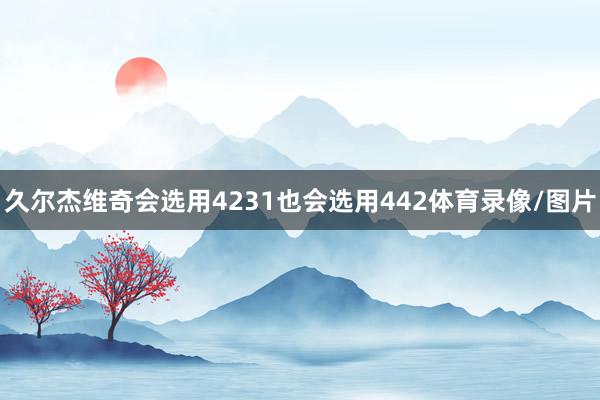 久尔杰维奇会选用4231也会选用442体育录像/图片