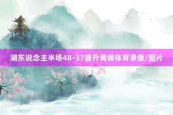 湖东说念主半场48-37提升黄蜂体育录像/图片