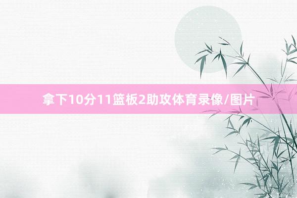 拿下10分11篮板2助攻体育录像/图片
