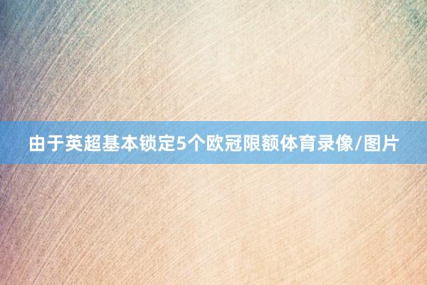 由于英超基本锁定5个欧冠限额体育录像/图片