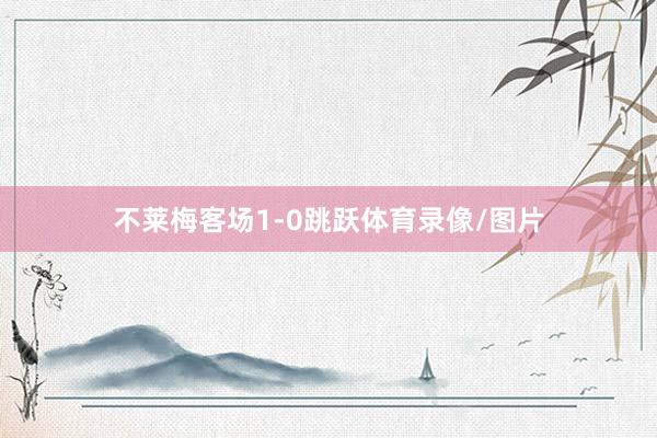 不莱梅客场1-0跳跃体育录像/图片
