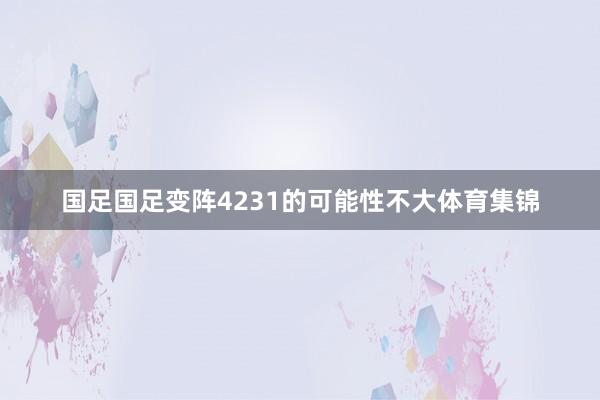 国足国足变阵4231的可能性不大体育集锦