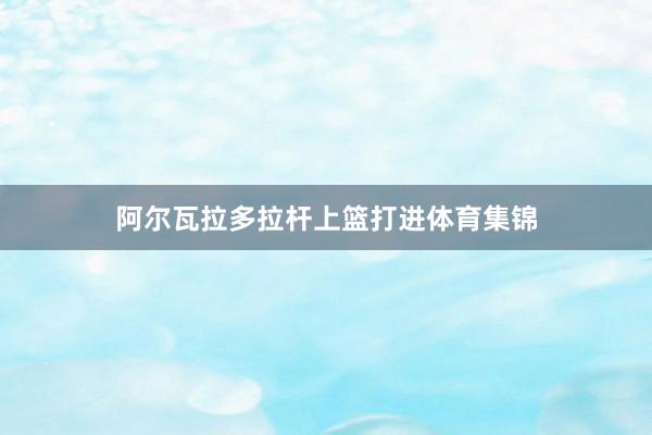 阿尔瓦拉多拉杆上篮打进体育集锦