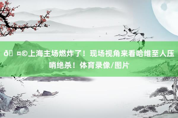 🤩上海主场燃炸了！现场视角来看哈维至人压哨绝杀！体育录像/图片