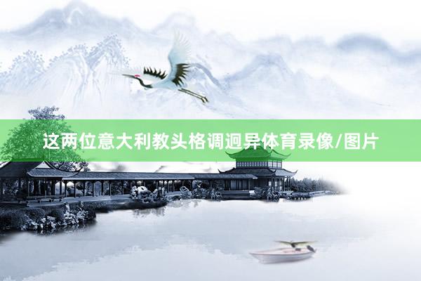 这两位意大利教头格调迥异体育录像/图片