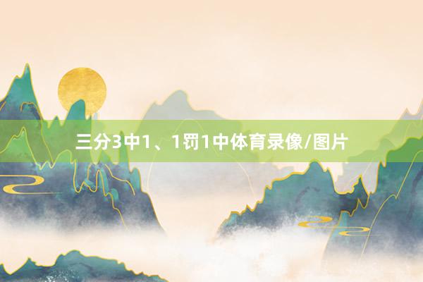 三分3中1、1罚1中体育录像/图片