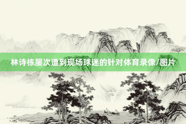 林诗栋屡次遭到现场球迷的针对体育录像/图片
