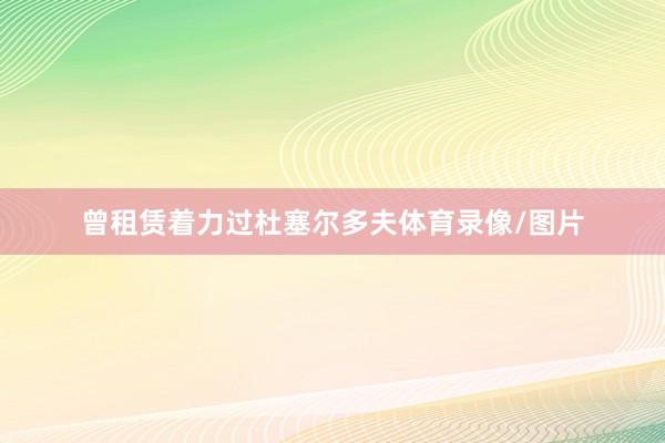 曾租赁着力过杜塞尔多夫体育录像/图片
