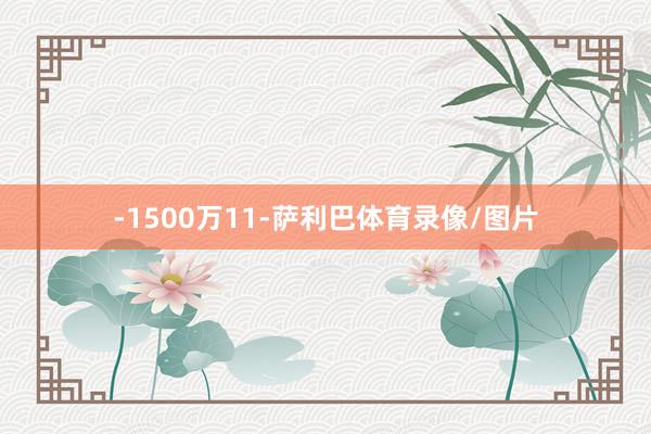 -1500万11-萨利巴体育录像/图片