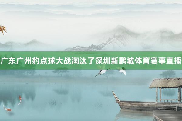 广东广州豹点球大战淘汰了深圳新鹏城体育赛事直播