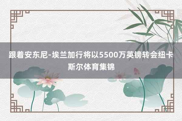 跟着安东尼-埃兰加行将以5500万英镑转会纽卡斯尔体育集锦