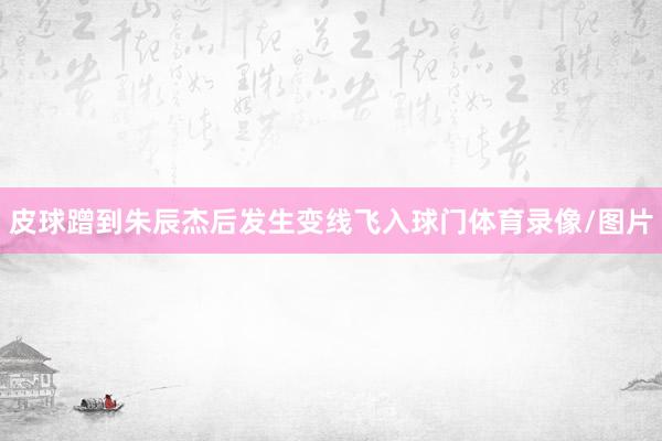 皮球蹭到朱辰杰后发生变线飞入球门体育录像/图片