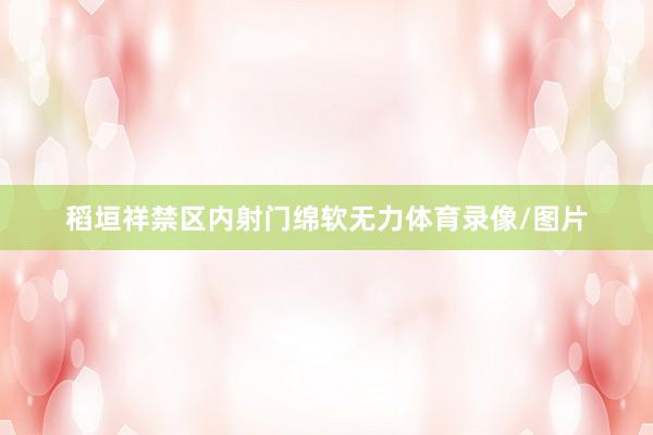 稻垣祥禁区内射门绵软无力体育录像/图片