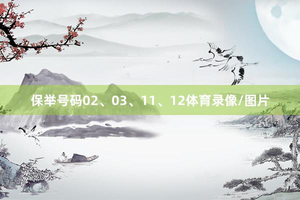 保举号码02、03、11、12体育录像/图片