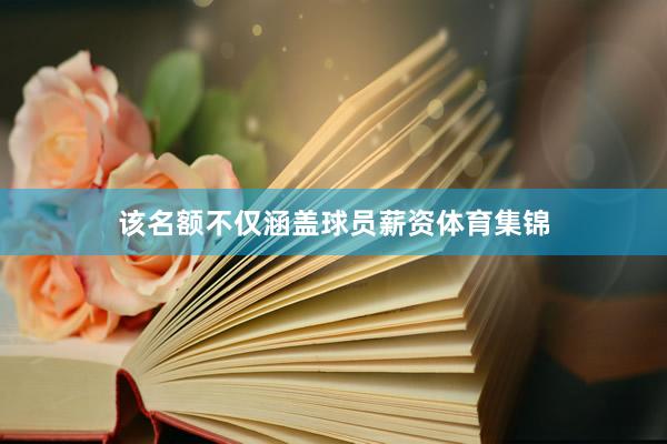 该名额不仅涵盖球员薪资体育集锦