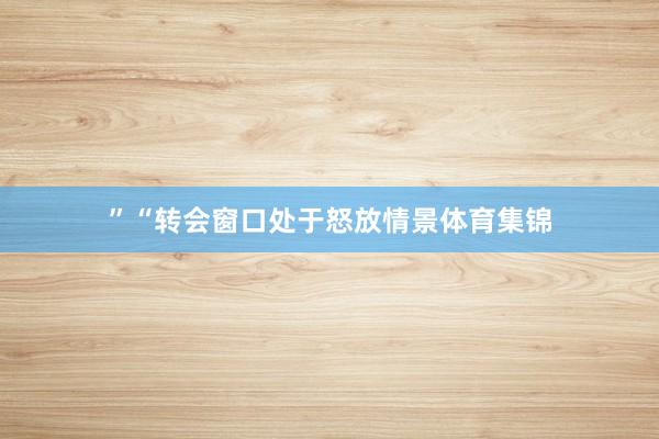 ”“转会窗口处于怒放情景体育集锦