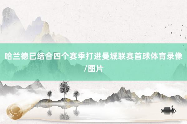哈兰德已结合四个赛季打进曼城联赛首球体育录像/图片
