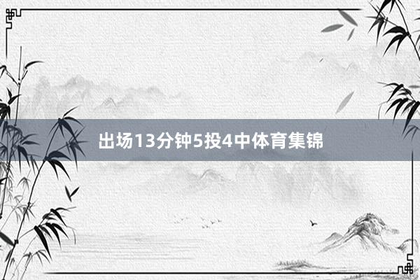 出场13分钟5投4中体育集锦