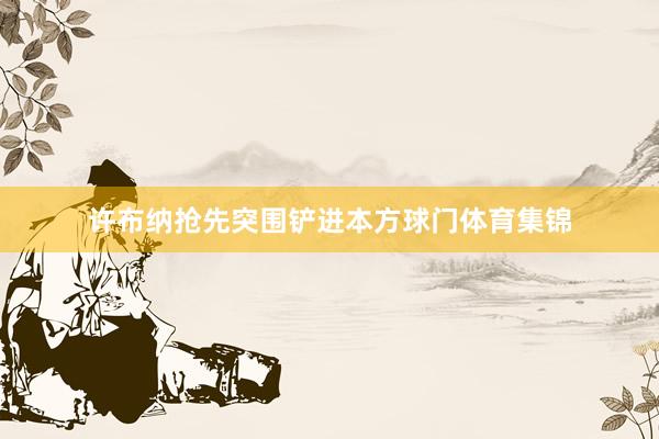 许布纳抢先突围铲进本方球门体育集锦