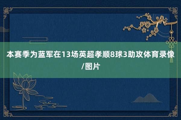 本赛季为蓝军在13场英超孝顺8球3助攻体育录像/图片