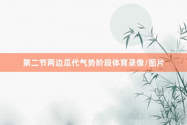 第二节两边瓜代气势阶段体育录像/图片