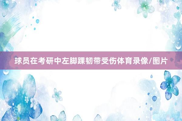 球员在考研中左脚踝韧带受伤体育录像/图片