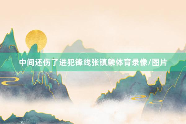 中间还伤了进犯锋线张镇麟体育录像/图片