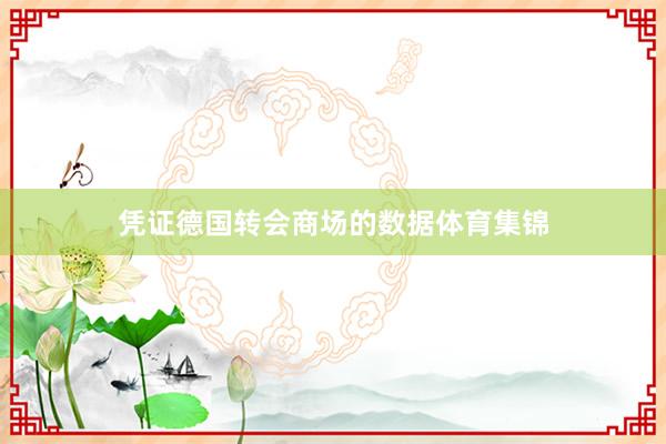 凭证德国转会商场的数据体育集锦
