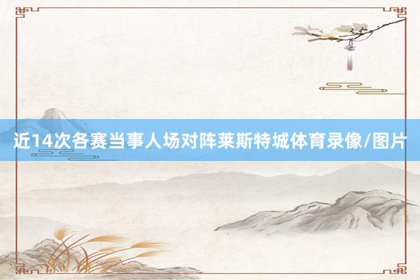 近14次各赛当事人场对阵莱斯特城体育录像/图片