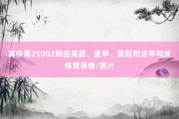 其中第25002期由英超、意甲、葡超和法甲构成体育录像/图片