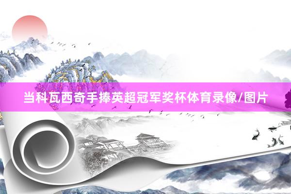 当科瓦西奇手捧英超冠军奖杯体育录像/图片