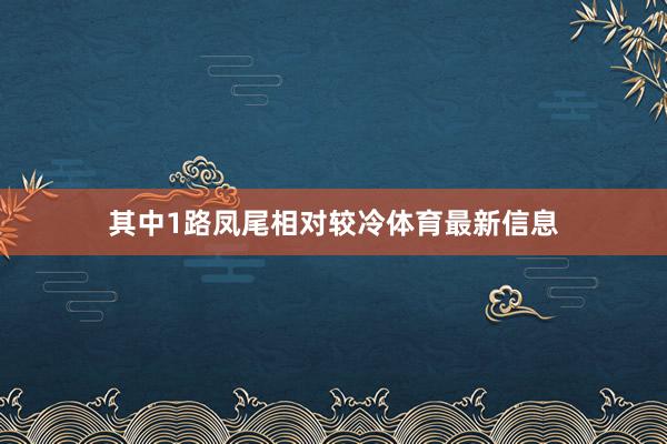 其中1路凤尾相对较冷体育最新信息
