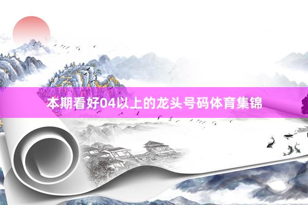 本期看好04以上的龙头号码体育集锦