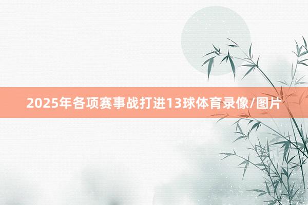 2025年各项赛事战打进13球体育录像/图片