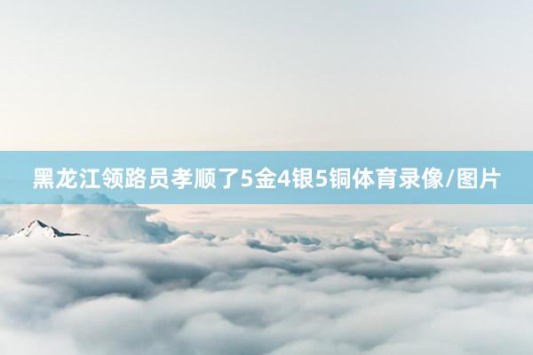 黑龙江领路员孝顺了5金4银5铜体育录像/图片