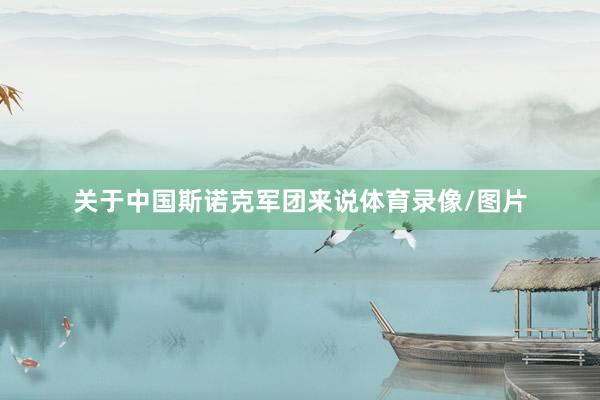 关于中国斯诺克军团来说体育录像/图片