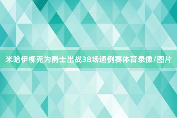米哈伊柳克为爵士出战38场通例赛体育录像/图片