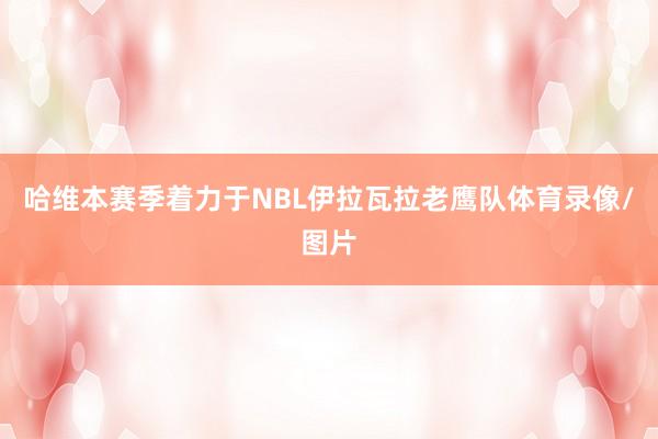 哈维本赛季着力于NBL伊拉瓦拉老鹰队体育录像/图片